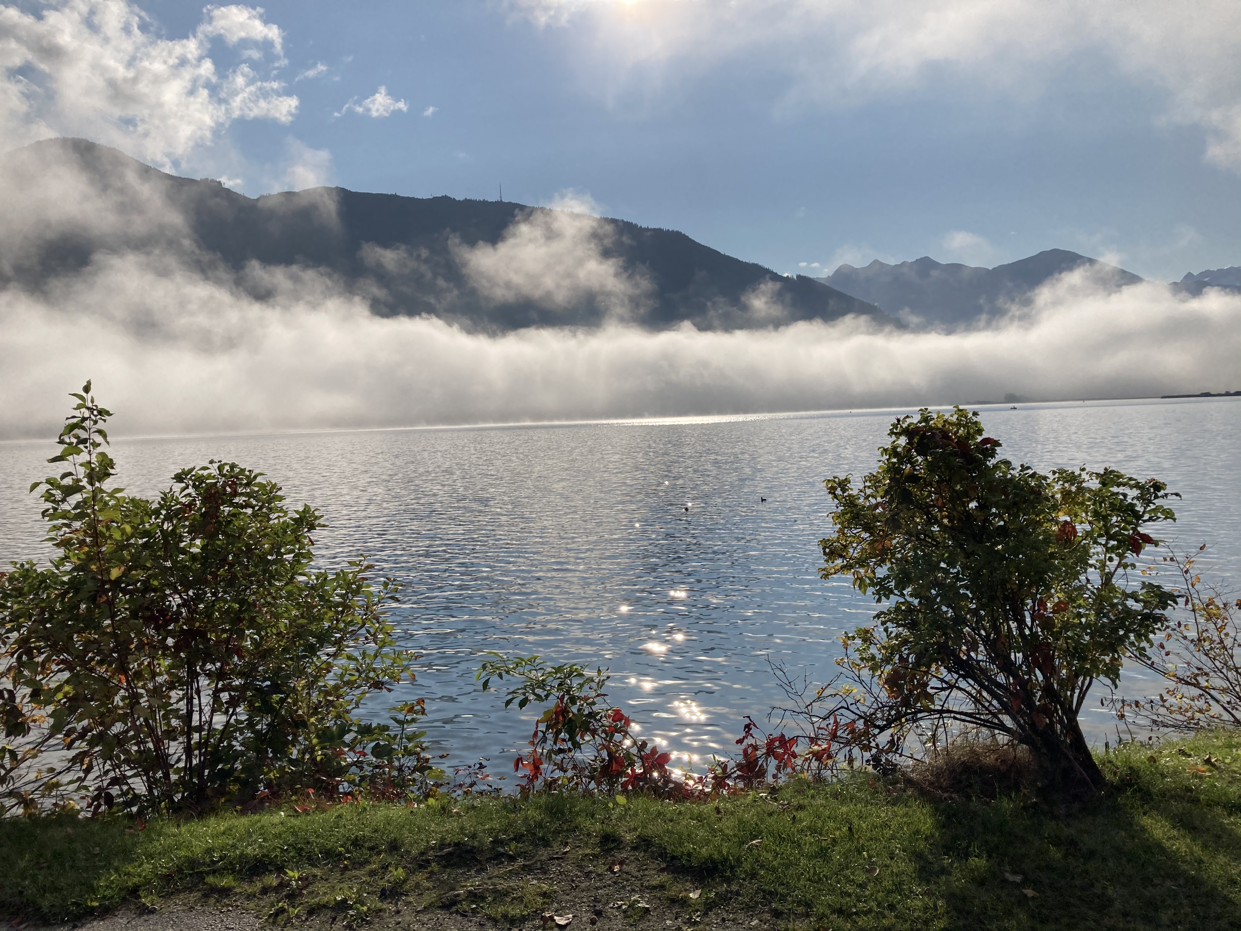 Nebel am See