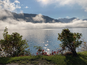 Nebel am See